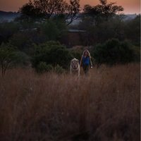 Mia y el león blanco