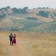 La boda de mi ex