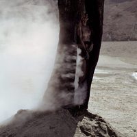 The fall. El sueño de Alexandria