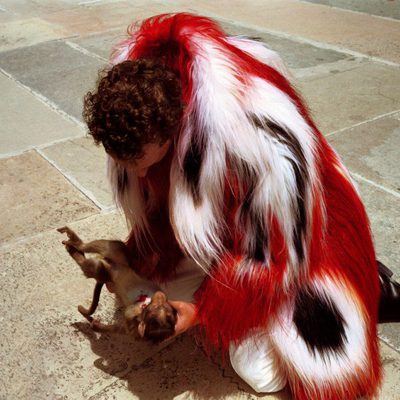 The fall: El sueño de Alexandria