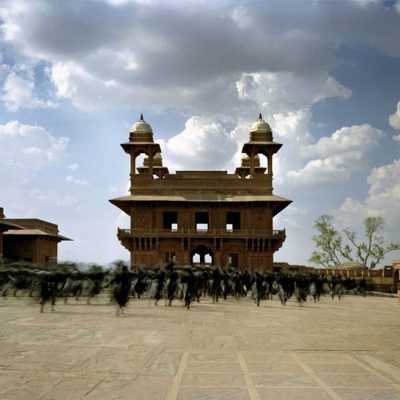 The fall: El sueño de Alexandria