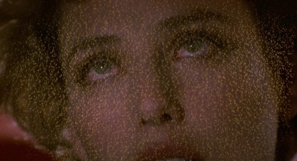 Candyman, el dominio de la mente