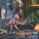 Terra Willy: planeta desconocido