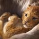 El Rey León