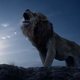 El Rey León