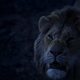 El Rey León