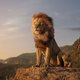 El Rey León