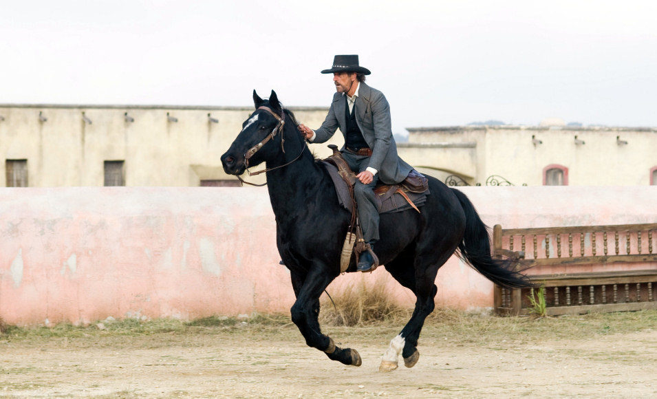 Appaloosa
