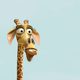 Madagascar 2