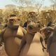 Madagascar 2