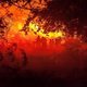 Lo que arde