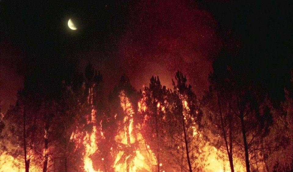 Lo que arde