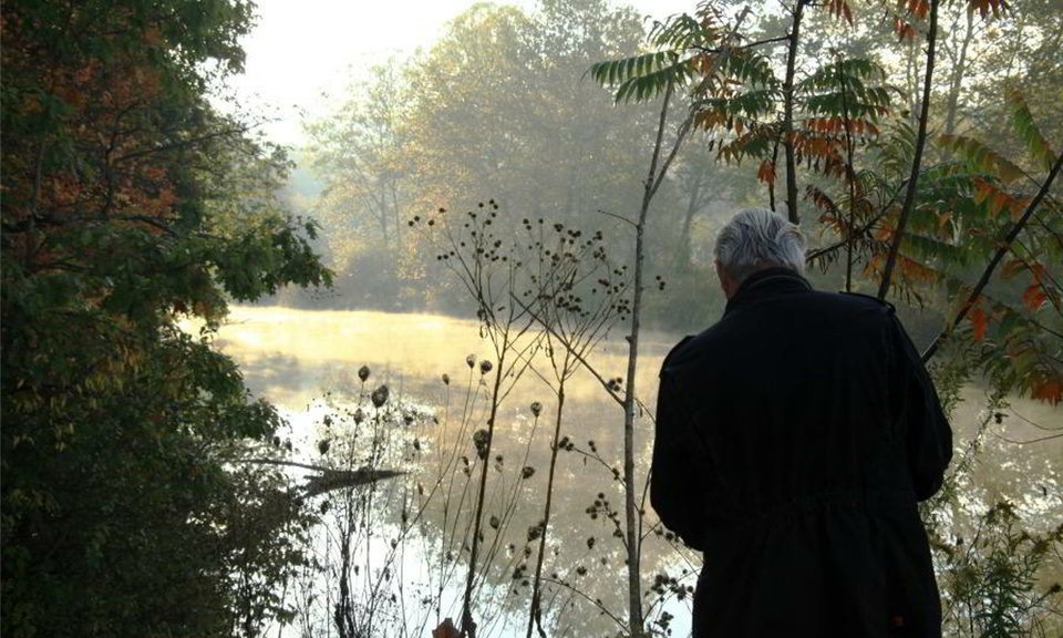 Five Seasons: The Gardens of Piet Oudolf