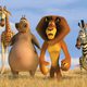Madagascar 2