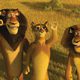 Madagascar 2