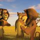 Madagascar 2