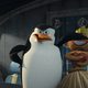 Madagascar 2