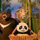 Operación Panda