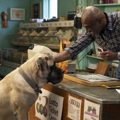 Tu mejor amigo: un nuevo viaje