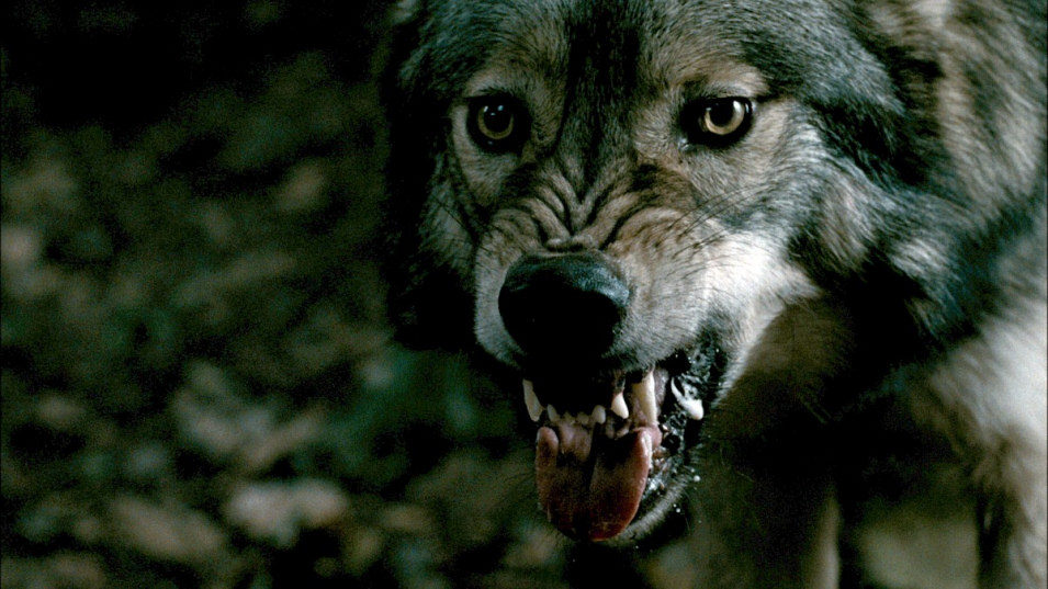 La marca del lobo