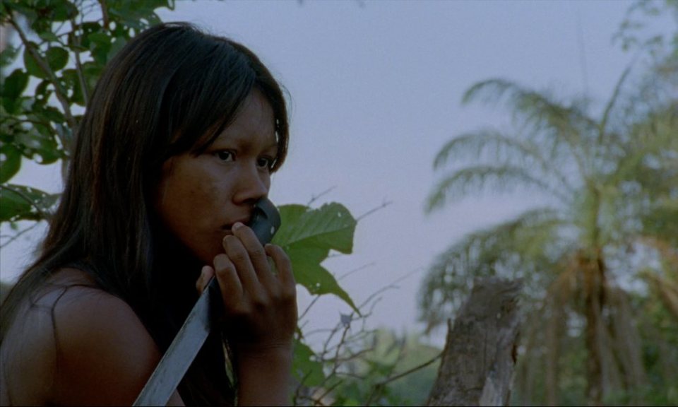 El canto de la selva