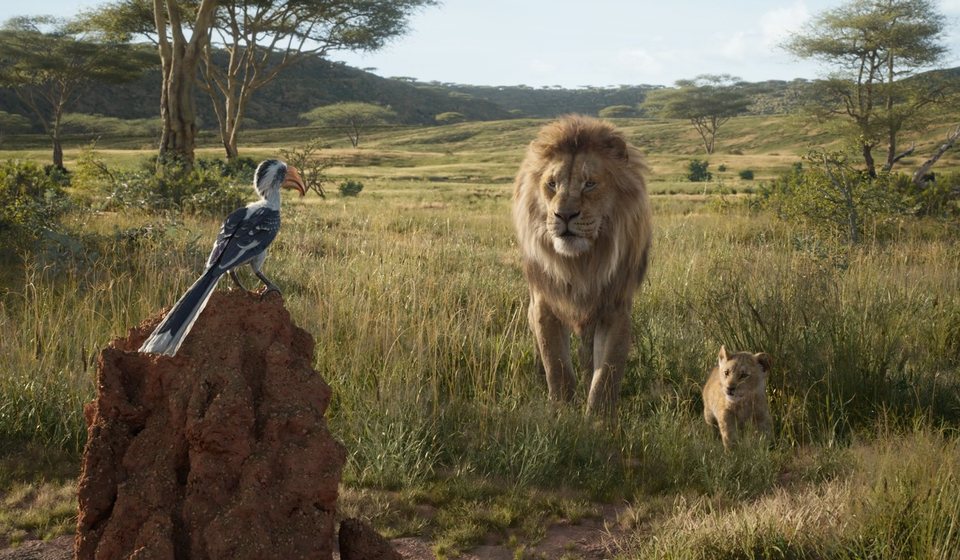 El Rey León