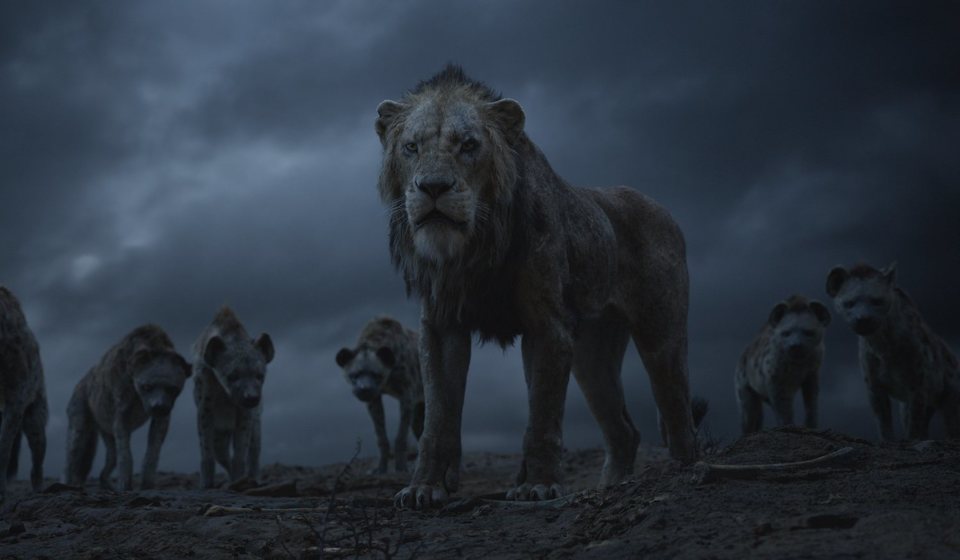 El Rey León