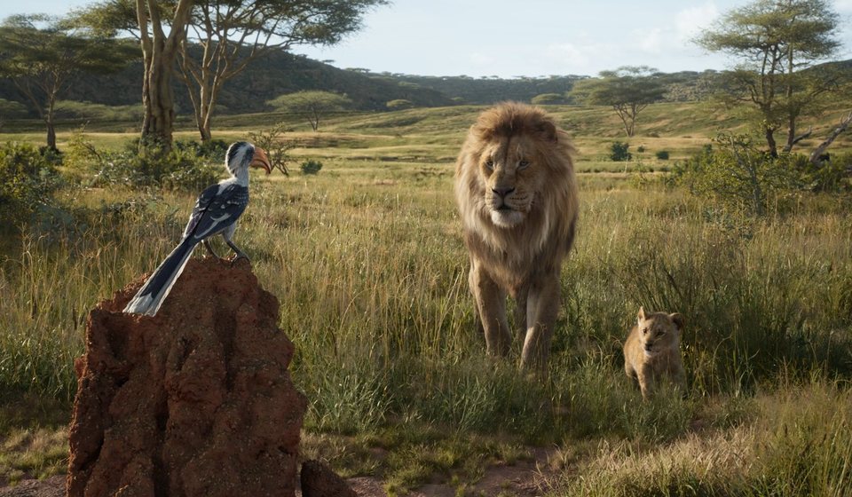 El Rey León