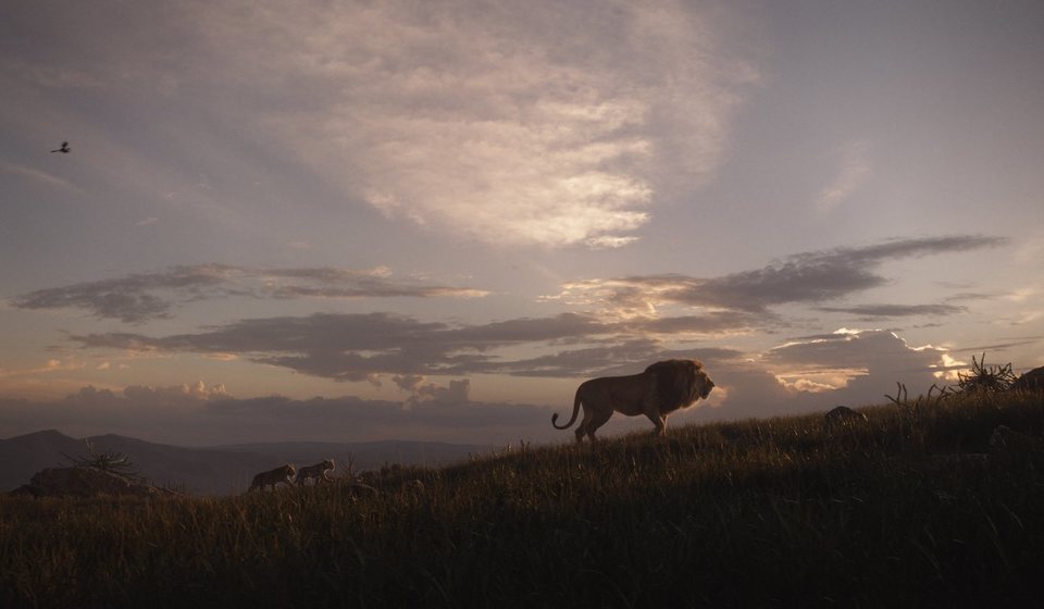 El Rey León
