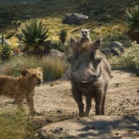 El Rey León