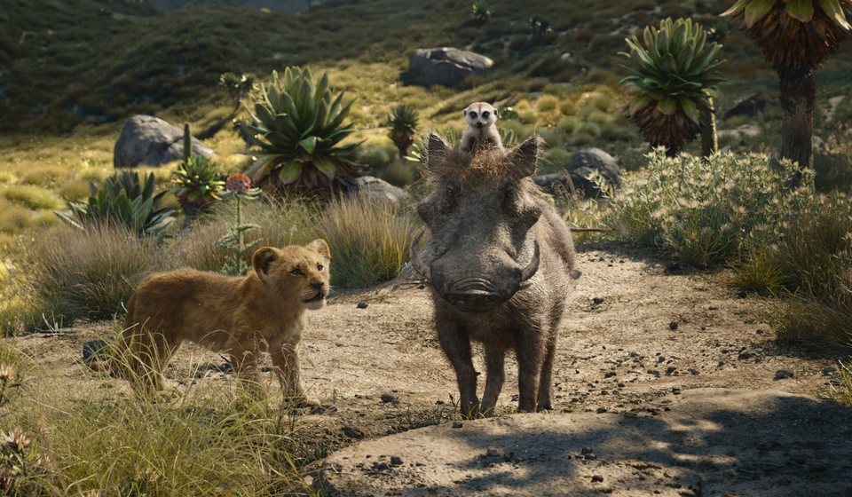 El Rey León