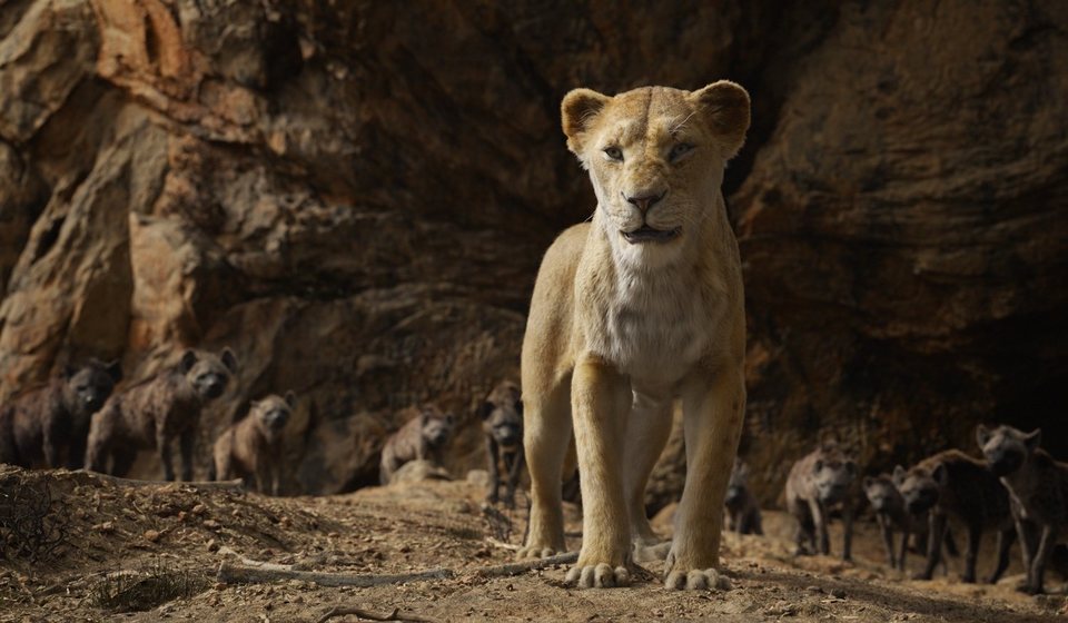 El Rey León