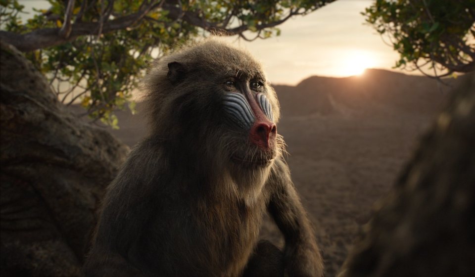 El Rey León