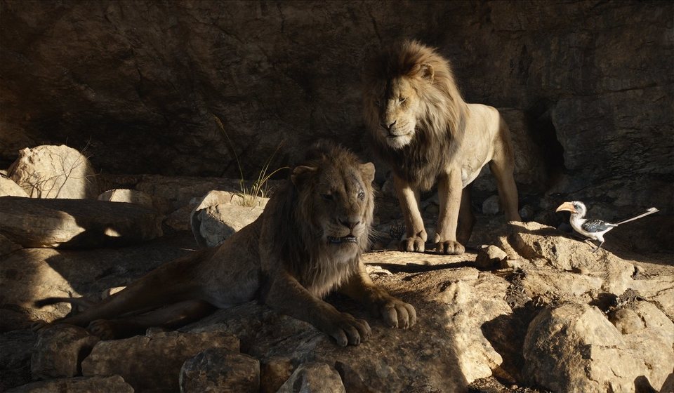 El Rey León