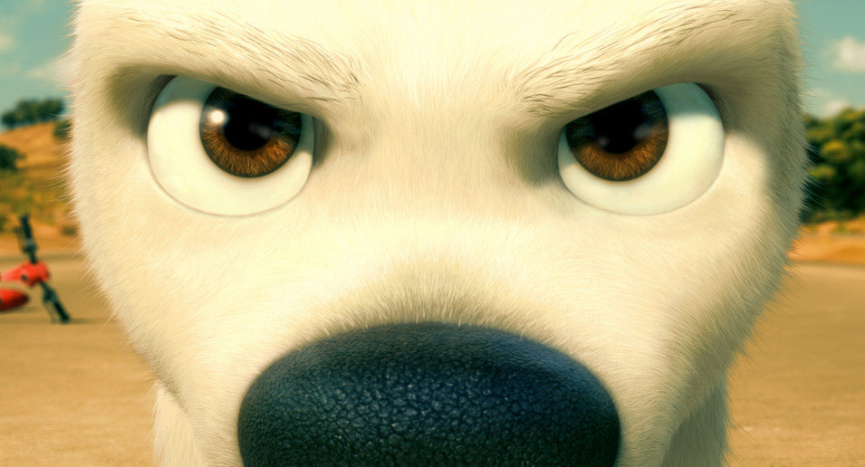 Bolt