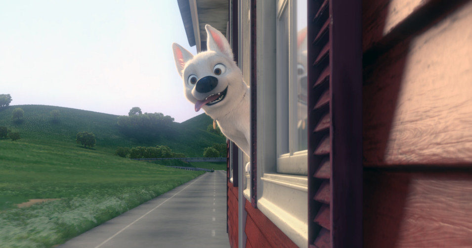 Bolt