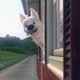 Bolt