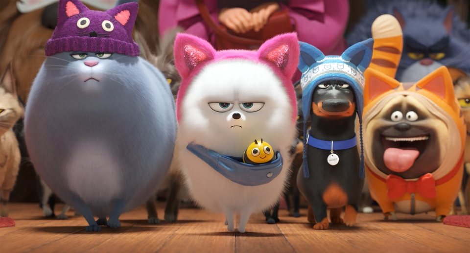 Mascotas 2