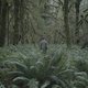 The Mountain