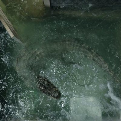 Infierno en la tormenta