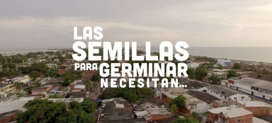Semillas de alegría