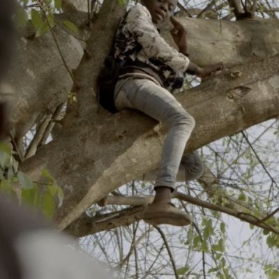 Semillas de alegría