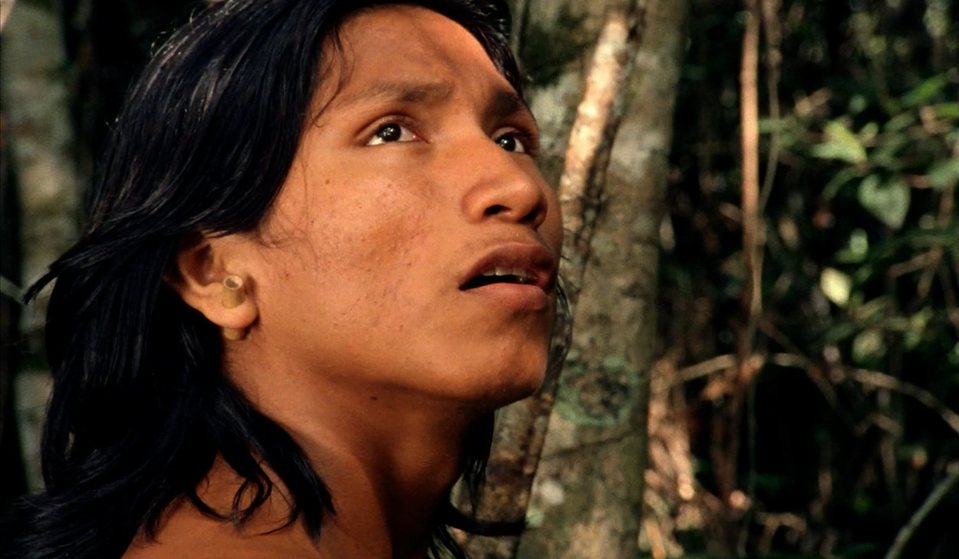 El canto de la selva