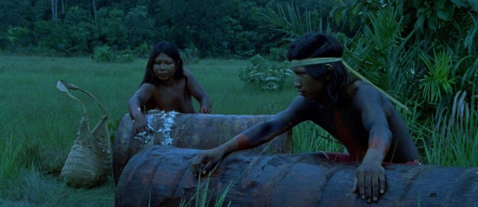 El canto de la selva