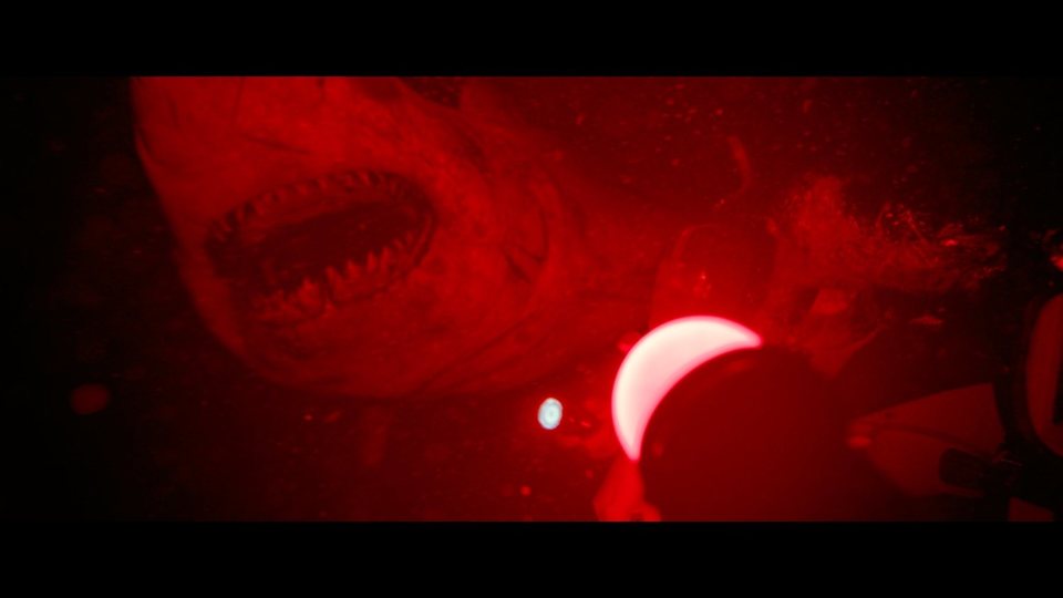 A 47 metros 2: El terror emerge