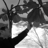 El hotel a orillas del río