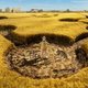 La oveja Shaun. La película: Granjaguedón