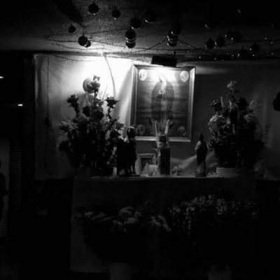 Todo, en fin, el silencio lo ocupaba