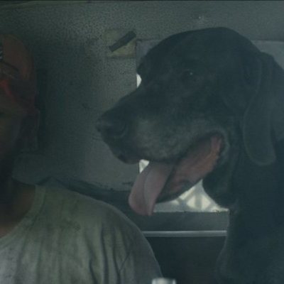 La familia que tú eliges