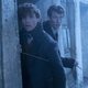 Animales Fantásticos: Los crímenes de Grindelwald